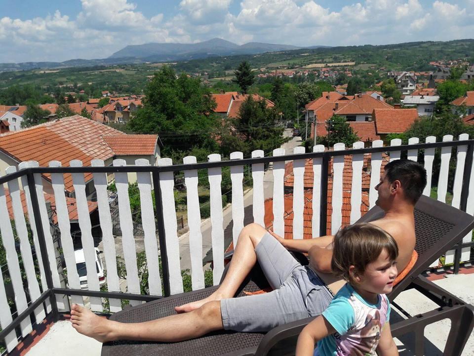 Vila Lenka Sokobanja Exterior photo